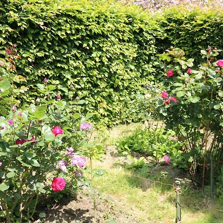 Le Gîte de la Paix Le Manoir  Extérieur photo